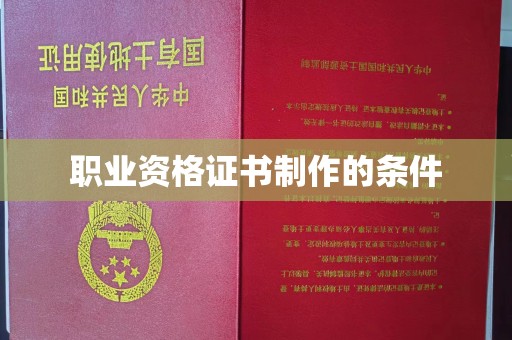覃塘职业资格证书制作的条件