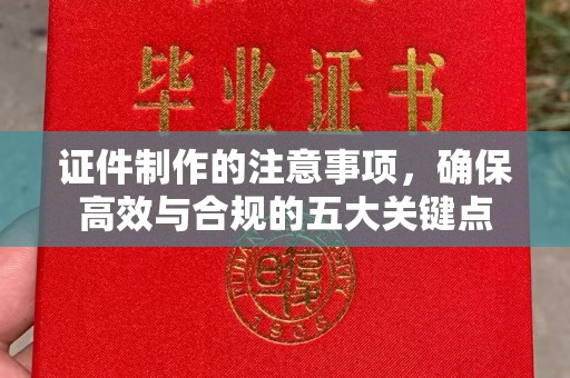 覃塘证件制作的注意事项，确保高效与合规的五大关键点