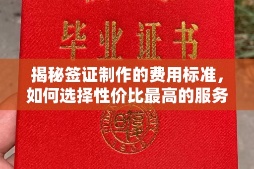 覃塘揭秘签证制作的费用标准，如何选择性价比最高的服务？