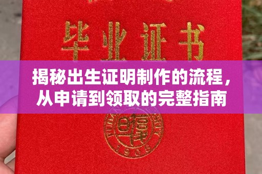 覃塘揭秘出生证明制作的流程，从申请到领取的完整指南