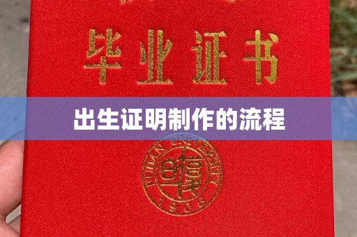 覃塘出生证明制作的流程