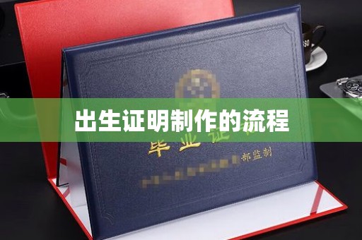 覃塘出生证明制作的流程